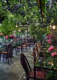 【早割中】映えるフラワーカフェに行こう！おすすめは薔薇の紅茶です🎀🎀