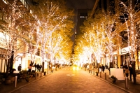 【30代中盤〜40代中心】丸の内イルミネーション見学&カフェ会