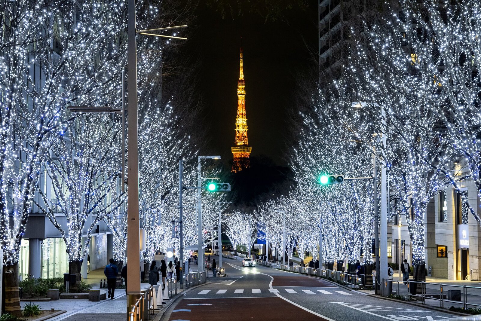 【30代中盤〜40代中心】六本木イルミネーション見学&カフェ会