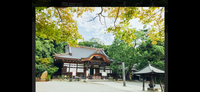 【🎫SNSで話題の新緑スポット🍃深大寺で癒し体験！夏ウォーク＆そばイベント