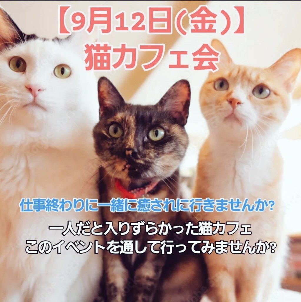【9/12開催】池袋・猫カフェでリラックス体験!もふもふ交流ナイト！