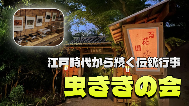 （入園料込み）江戸時代から続く伝統行事「虫ききの会」に行ってみよう！