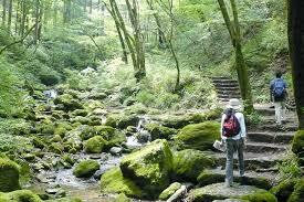 初秋の御岳山で絶景登山・ハイキング🏞初心者オススメコース⛰️