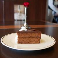 【20代30代限定】ウィーン料理が食べられる！？ホテルのカフェに行こう！おすすめはザッハトルテ🦊🦊