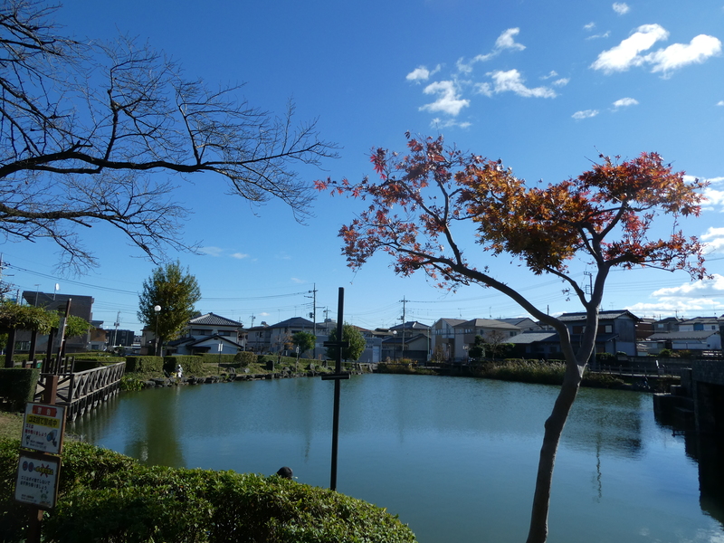 井の頭公園を散策しながらフォトコンテストしよう