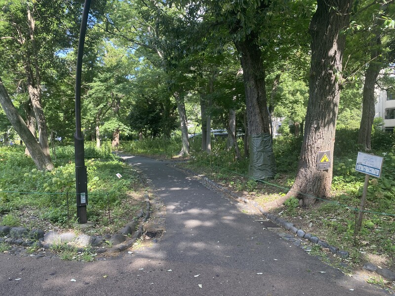 🚶🏻【日比谷公園】朝さんぽ と カフェトーク