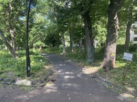 🚶🏻【日比谷公園】朝さんぽ と カフェトーク