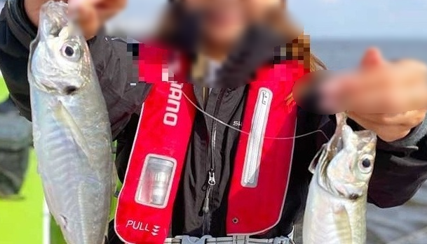 《40・50代》手ぶらでアジ釣り～釣ったアジを肴に飲もう！