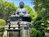 【20代主催】芸術🎨の秋🍂到来！都内で唯一？大仏が見られる神社⛩️と資料館・博物館巡り