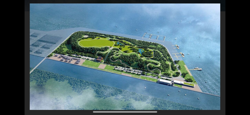 【🌊東京湾の✨新名所・海の森🌲公園へピクニック！🌳アウトドア好きな方ひとり様大歓迎