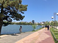 9/6(土)🔰 20:00～21:00アオハウォーキング🚶‍♂️(💰バックキャンペーン)