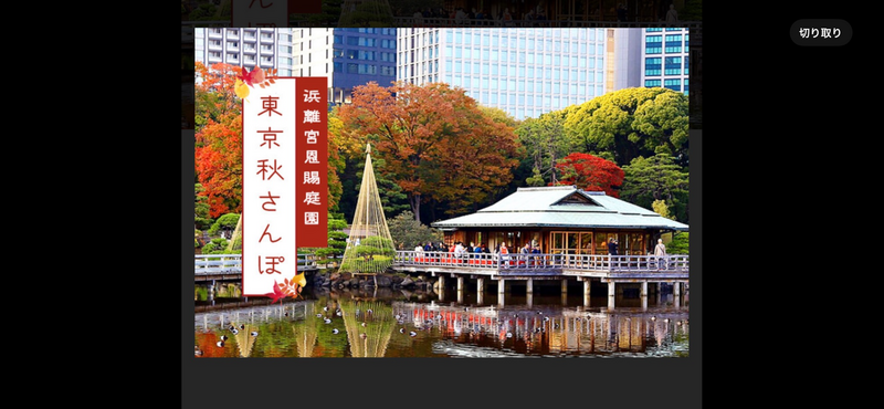 【先着2名様無料❗️今年ラストの紅葉浜離宮恩師庭園🍁】紅葉を🍁カメラ📷で撮影散策