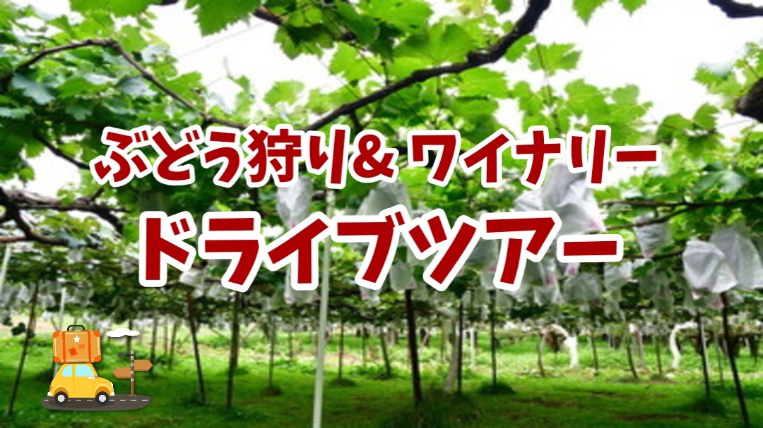 【旬を味わおう！ぶどう狩りとワイナリー巡り★ドライブツアー】