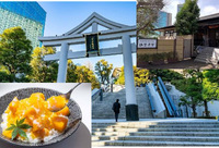 【赤坂の神社カフェで和スイーツを食べよう！】9/7 15時　日枝神社　山王茶寮【様々な御朱印を紹介します！】