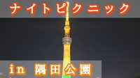 【ナイトピクニック】隅田公園で夜景を見ながらゆったりと過ごそう（東京の社会人サークル20代〜30代限定）