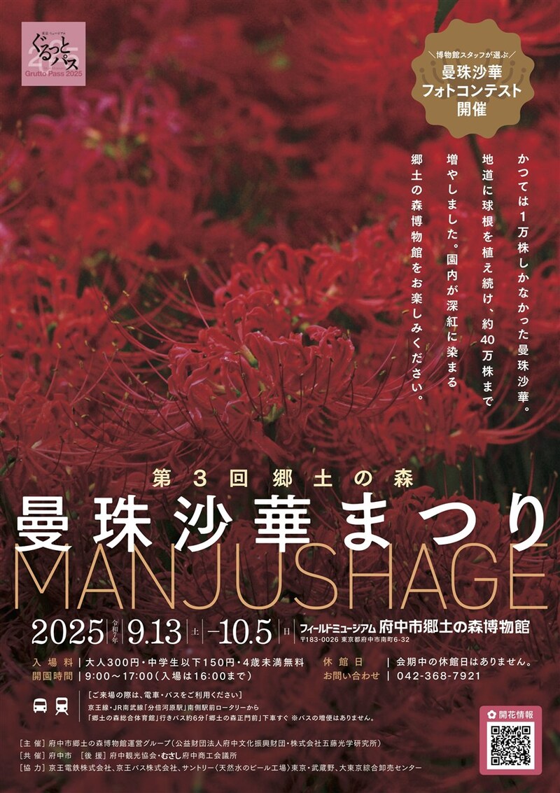【9/28曼珠沙華祭り】府中散歩と曼珠沙華（彼岸花）鑑賞💐府中市を楽しく散策、季節の美しい花に出会いに行こう😀