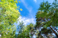 《☘️第78回☘️》🌈天神×ランチ🌈【9/28(日) 12:00〜】残り1名少人数開催☀️お一人参加大歓迎🍱✨👫