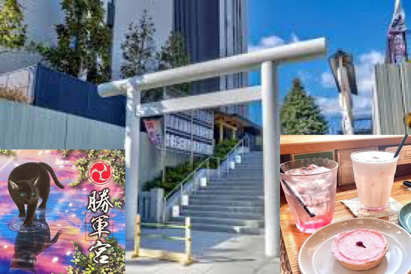 【見開き猫御朱印を手に入れよう！】9/13 10時駒込　妙義神社【オシャレなカフェでスイーツを！】