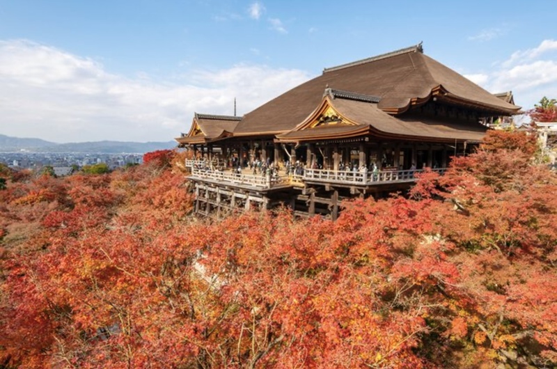 清水寺に行こう🍁(食べ歩きも！)   29歳以下限定！