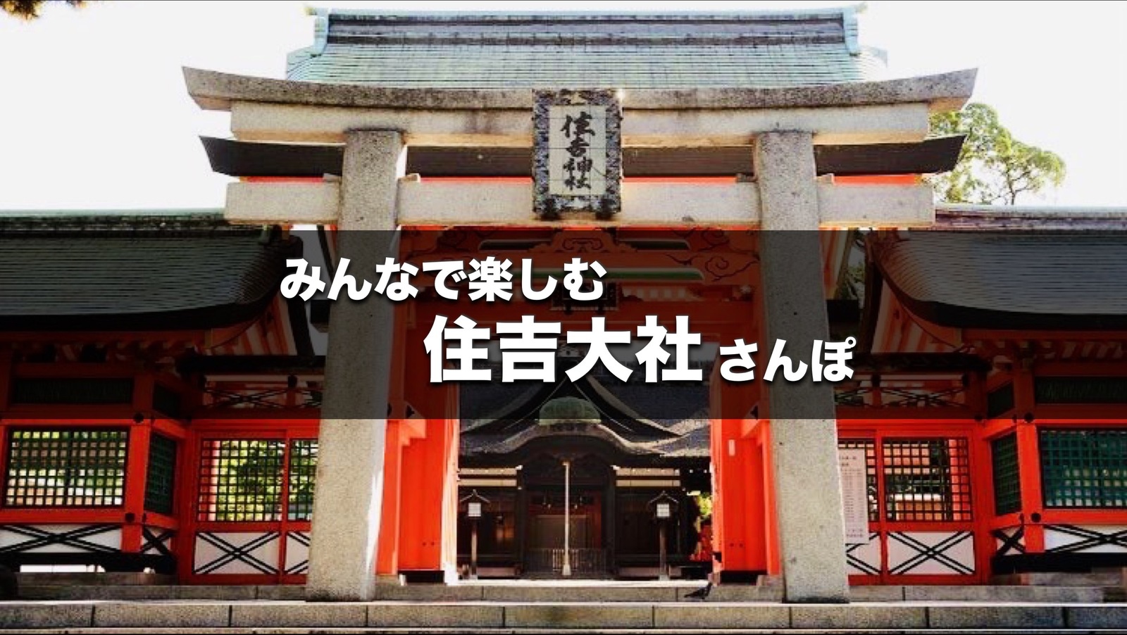 日本の伝統を知ろう『住吉大社⛩️』巡り