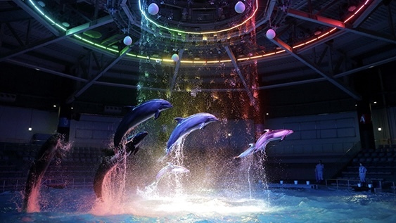 【今月の撮影企画📸】しながわ水族館に写真を撮りに行こう🐠📸