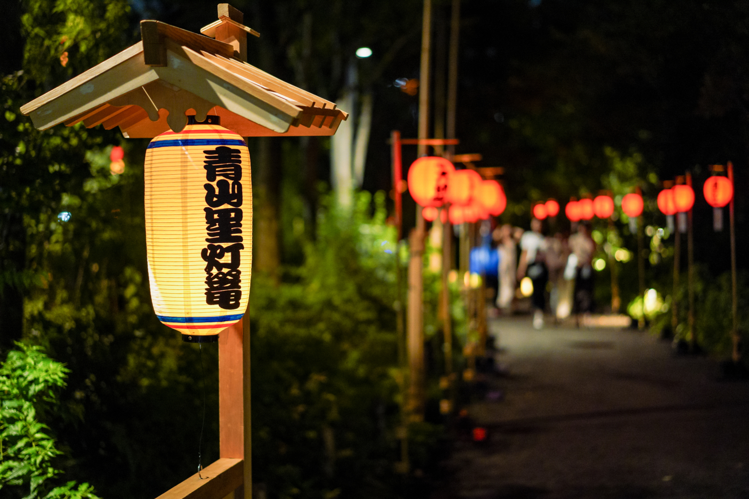 🌙青山星灯篭ナイトウォーク🌙@原宿〜表参道🍹