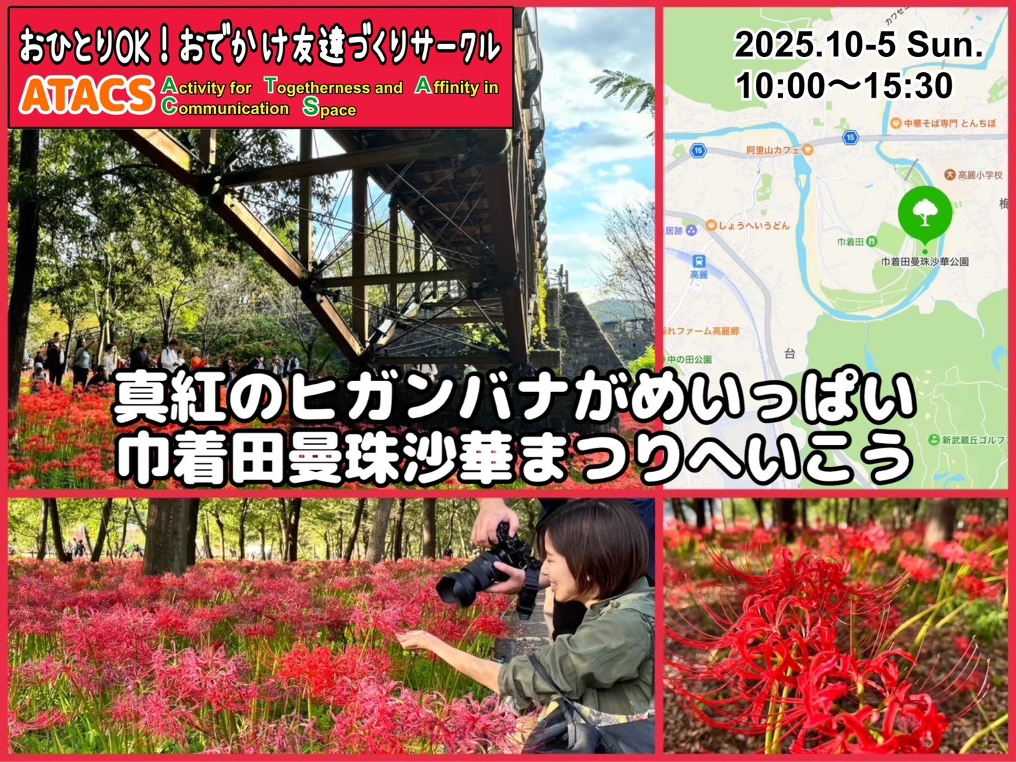 真紅のヒガンバナがめいっぱい 巾着田曼珠沙華まつりへいこう