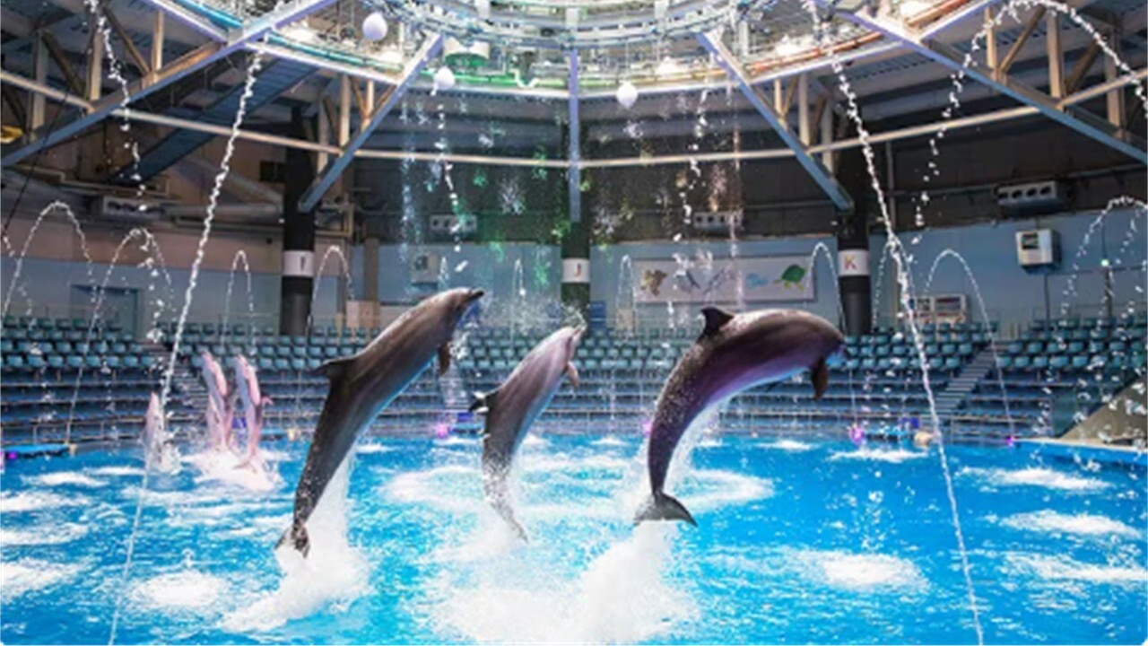 【20代限定👯‍♀️東京・品川】水族館オフ会🐠✨友達づくり＆休日リフレッシュ