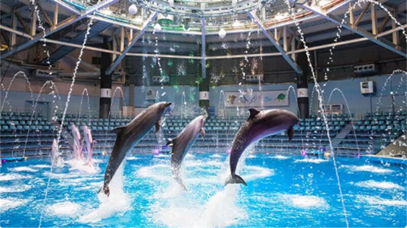 【20代限定👯‍♀️東京・品川】水族館オフ会🐠✨友達づくり＆休日リフレッシュ