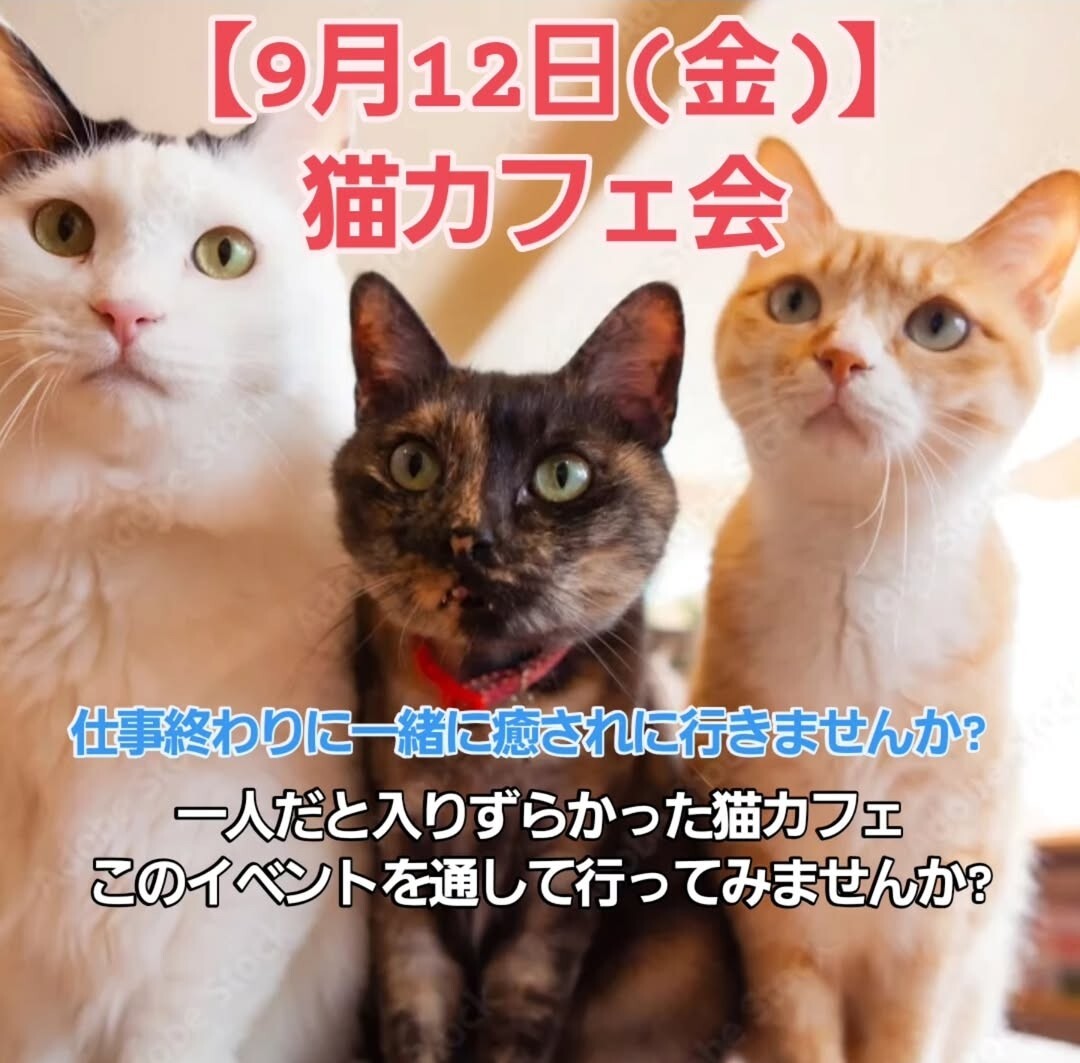 【9/12開催】池袋・猫カフェでリラックス体験! もふもふ交流ナイト!
