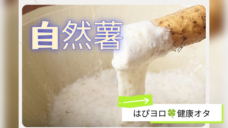 【40〜50代】自然薯を食す。