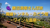 🍇 勝沼満喫さんぽ旅 〜廃線トンネル・ぶどう畑・ワイン＆温泉〜