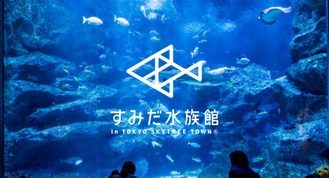 すみだ水族館に一緒にいきませんか？🐟