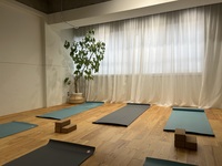 🌙旅・自然好き🌲ゆるトレ・ととのい座禅🧘🍀🌙@神保町