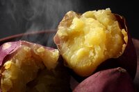 【早割中】サツマイモを掘りに行こう🍠🌈🌈