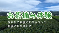 【第4回 お茶摘み体験に行ってみよう！お土産&ランチ付き】