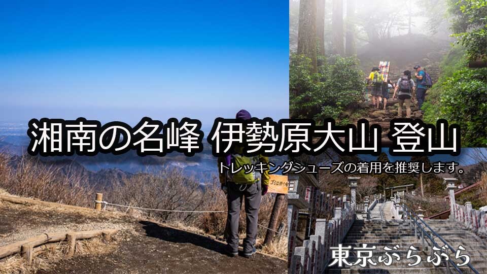 湘南の名峰   伊勢原大山登山