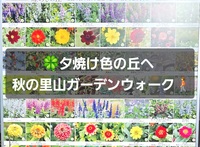 夕焼け色の丘へ ┃ 秋の里山ガーデンウォーク🚶