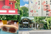 【猫御朱印を頂いて境内の猫たちに会おう！】 9/21 10時　白金氷川神社【参拝後はフルーツサンドの美味しいカフェへ！】