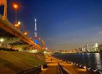 【11/24（木）浅草・隅田川夜景さんぽ🌃】1時間限定！初参加・ひとり参加も大歓迎