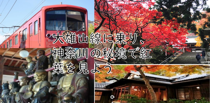 【秘境のような山寺で紅葉鑑賞】大雄山（電車+山寺）に乗って紅葉鑑賞しよう（説明・解説有り）