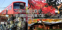 【秘境のような山寺で紅葉鑑賞】大雄山（電車+山寺）に乗って紅葉鑑賞しよう（説明・解説有り）