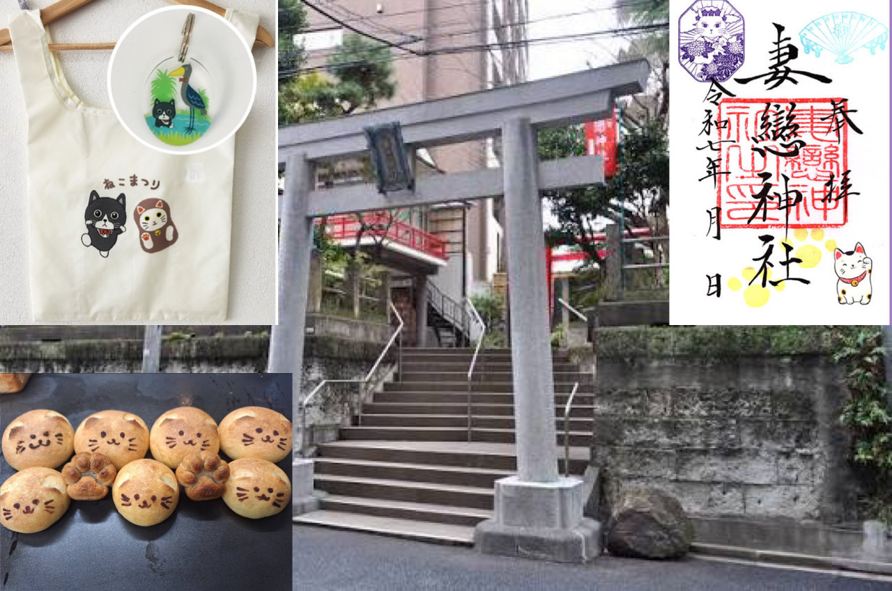 男女比調整で女性のみ募集【猫御朱印を手に入れよう！】早割り参加費還元！　10/4 11時　湯島　妻恋神社！