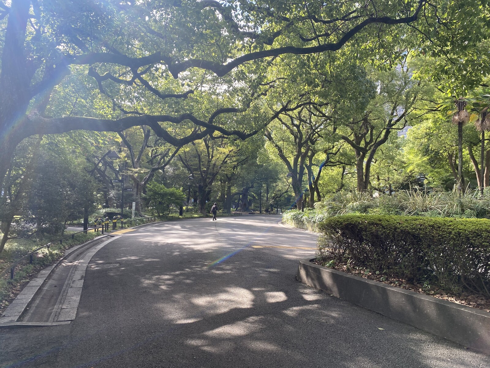 🚶🏻【日比谷公園】朝さんぽ と カフェトーク