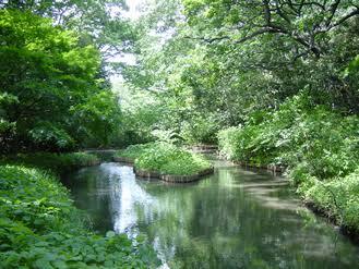 白金台シリーズ【1時間】国立科学博物館附属自然教育園で生き物探検ツアー！初心者・好奇心旺盛な方限定🌳✨