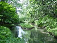 白金台シリーズ【1時間】国立科学博物館附属自然教育園で生き物探検ツアー！初心者・好奇心旺盛な方限定🌳✨