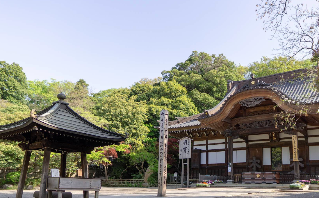 【男女主催】調布をのんびり散歩しよう🚶【ゲゲゲの鬼太郎と深大寺】