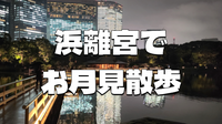 浜離宮でお月見散歩 ～将軍の御庭で栗名月を愛でる～