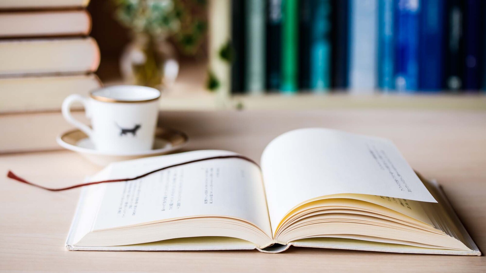 【六本木カフェ📚】本を語って対話もする朝活読書&対話会開催✨