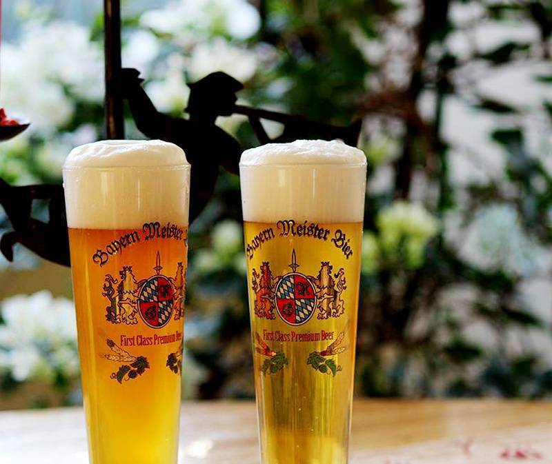 【20代30代限定】ドイツフェスティバルに行こう🌸🌸